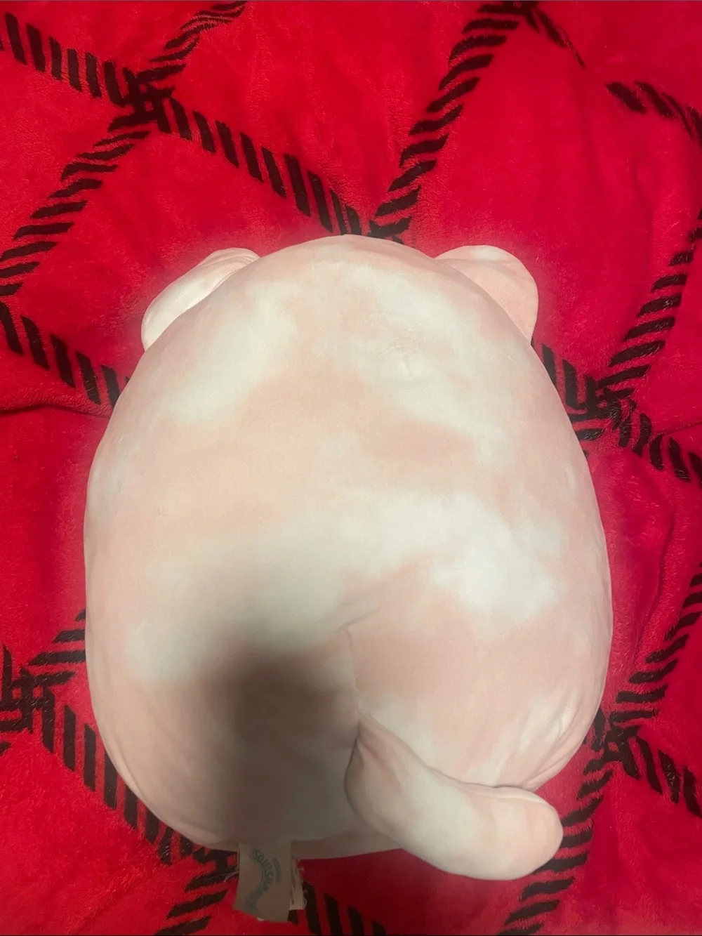 Cat Unicorn Squishmallow - lightly owned